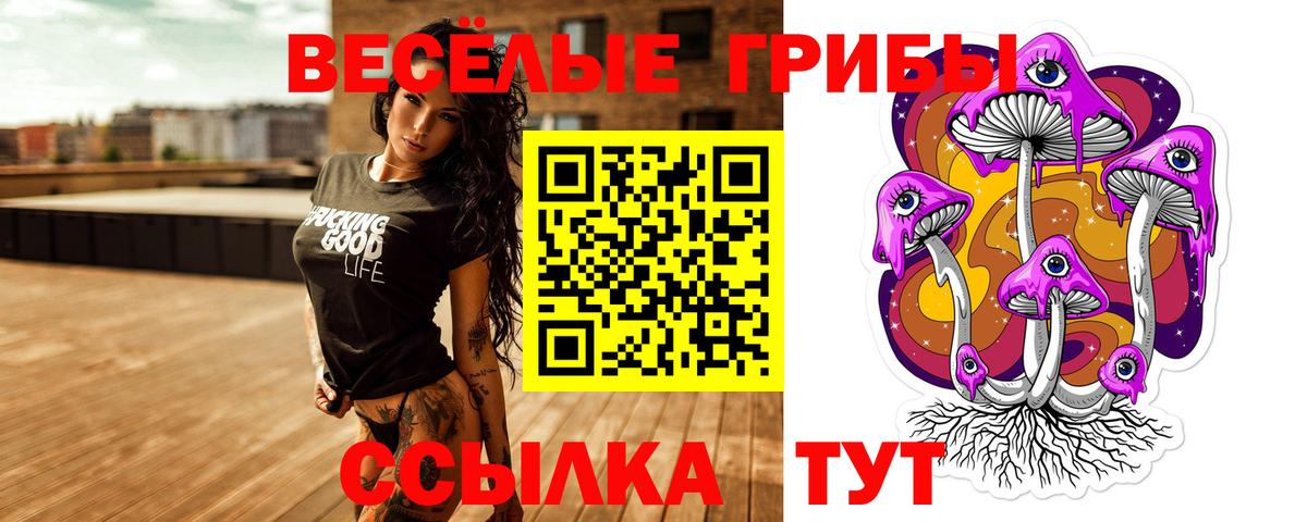 Заводоуковск  купить наркоту  Вход с VPN  Псилоцибиновые грибы мухоморы 