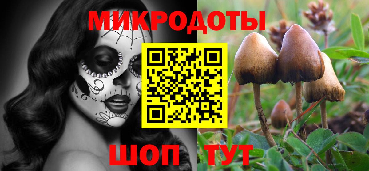 Галлюциногенные грибы Cubensis Заводоуковск